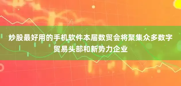炒股最好用的手机软件　　本届数贸会将聚集众多数字贸易头部和新势力企业